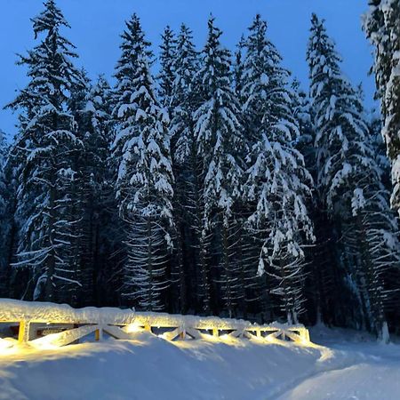 Algara Hut Hotell Panichishte Exteriör bild