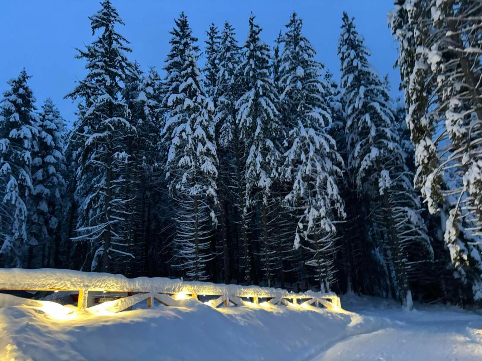 Algara Hut Hotell Panichishte Exteriör bild